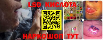 PSILOCYBIN Кунгур