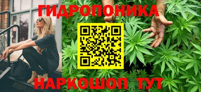 PSILOCYBIN Кунгур