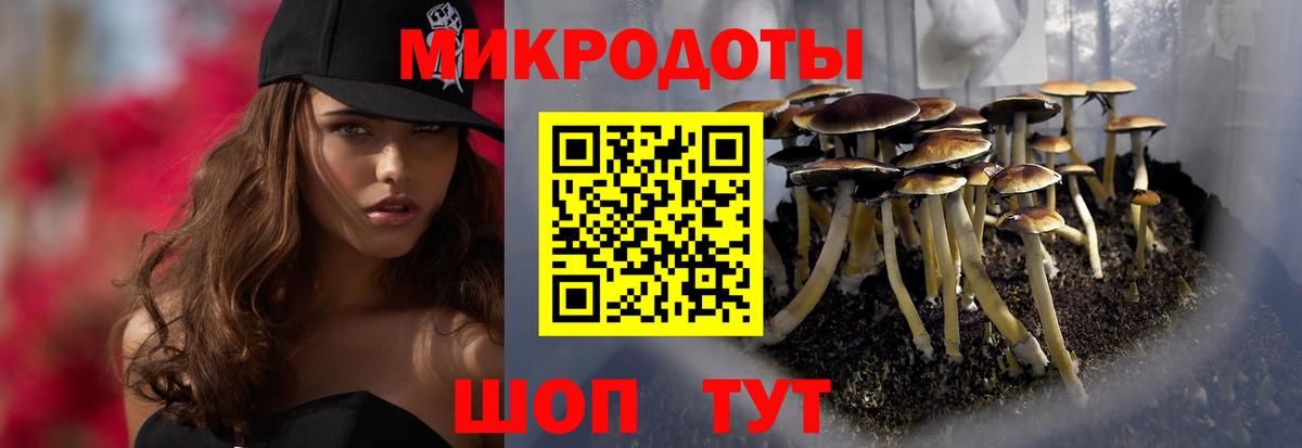 Галлюциногенные грибы прущие грибы Ишимбай